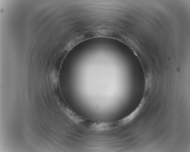 X0000085310186200703231933