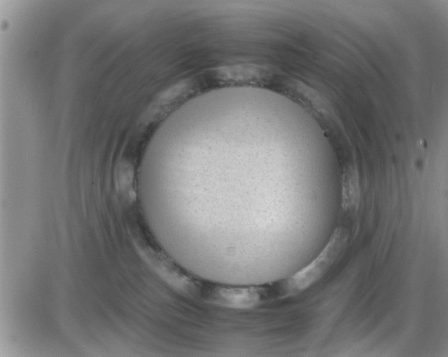 X0000085310187200703231933