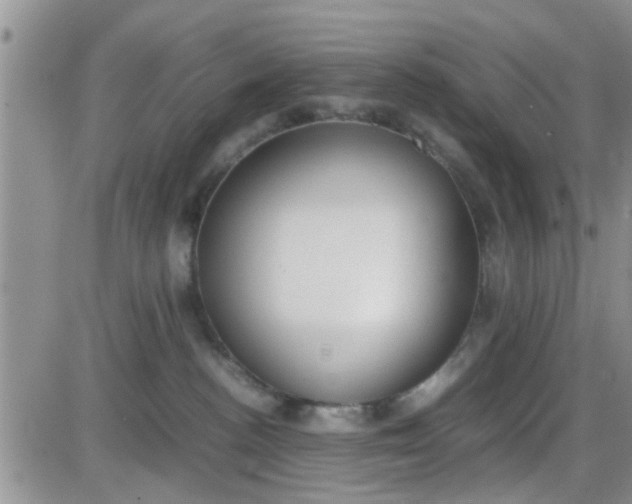 X0000085310188200703231933