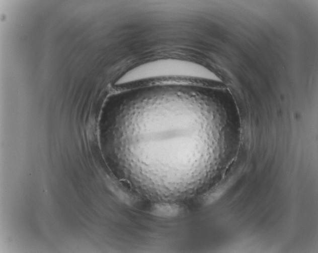 X0000085310189200703231933