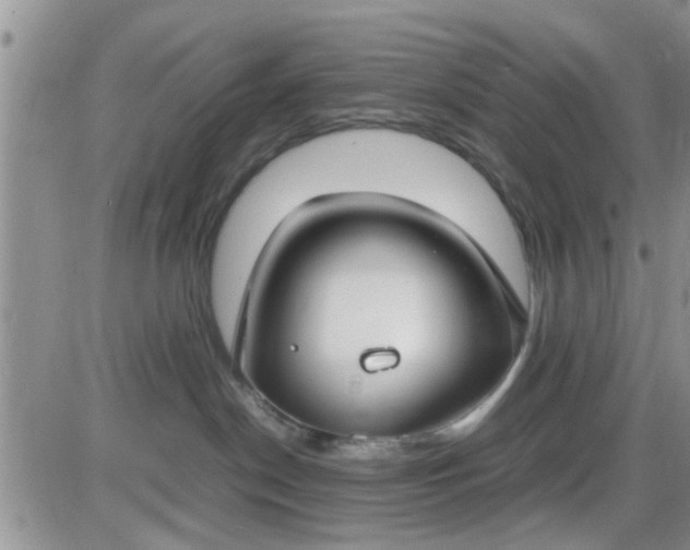 X0000085310190200703231933