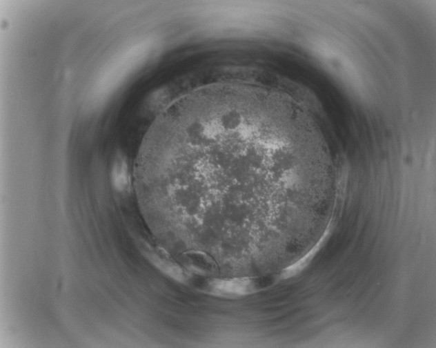 X0000085310191200703231933