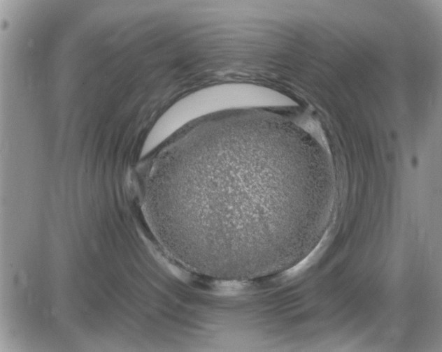 X0000085310192200703231933