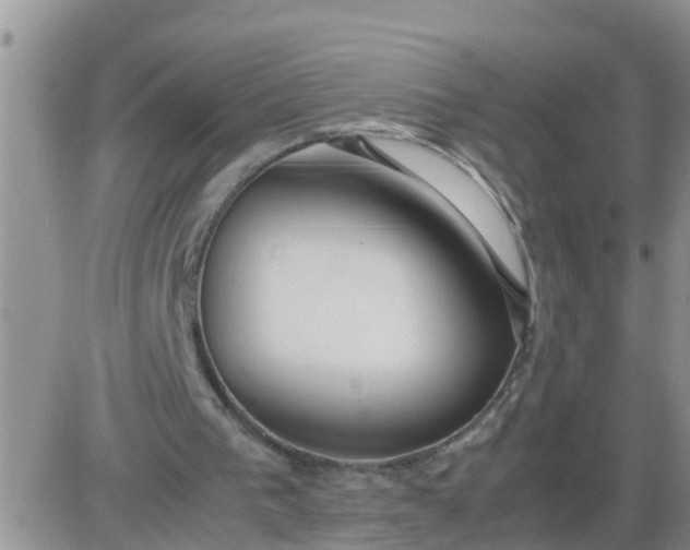 X0000085310193200703231932