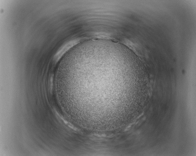 X0000085310194200703231932