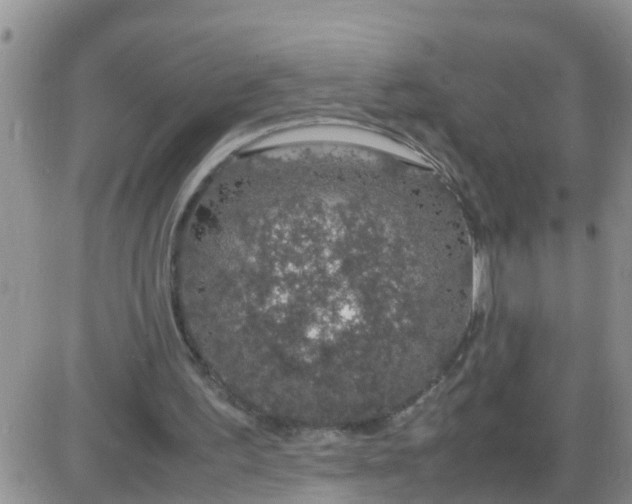 X0000085310195200703231932