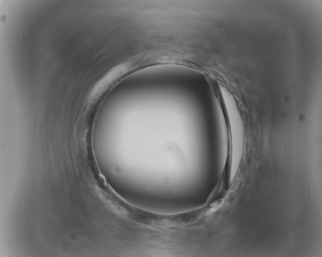 X0000085310197200703231932