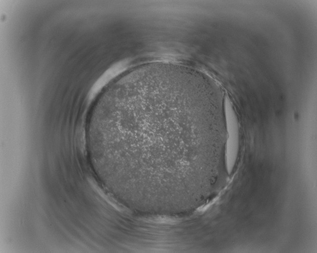 X0000085310198200703231932