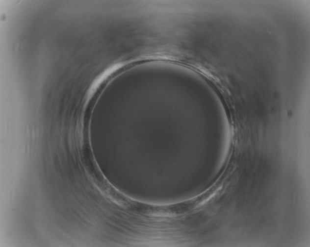 X0000085310200200703231932