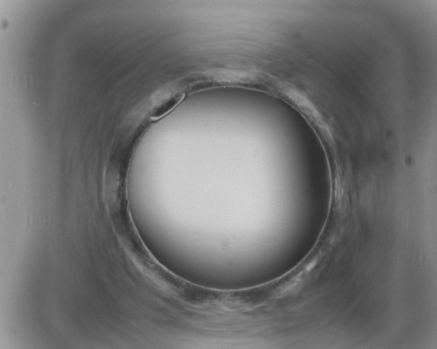 X0000085310201200703231932