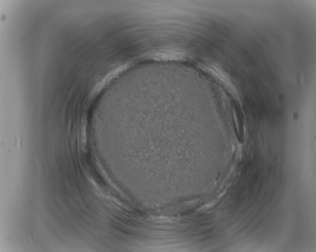 X0000085310202200703231932