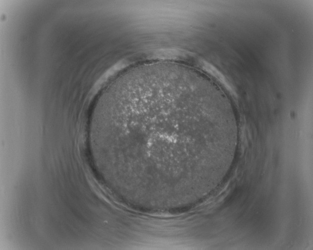 X0000085310203200703231932