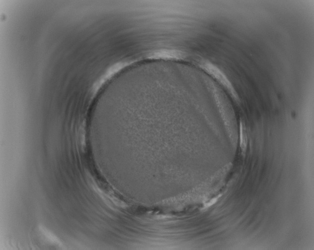 X0000085310204200703231932