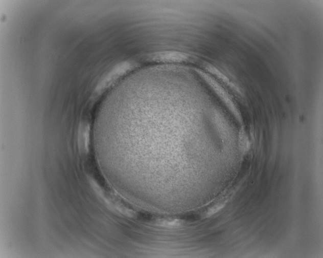 X0000085310206200703231932