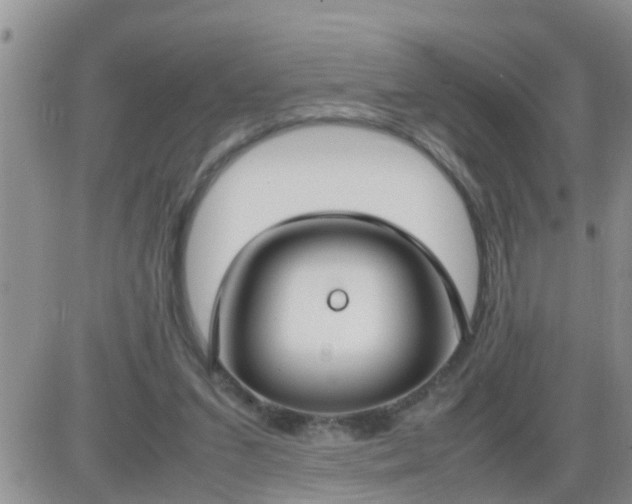 X0000085310207200703231932