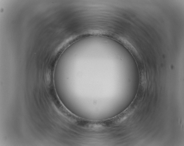 X0000085310208200703231932