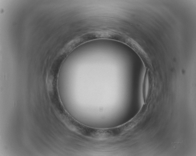 X0000085310209200703231932