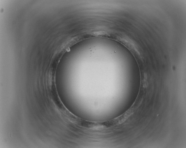 X0000085310210200703231932