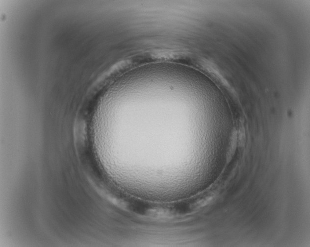 X0000085310211200703231932