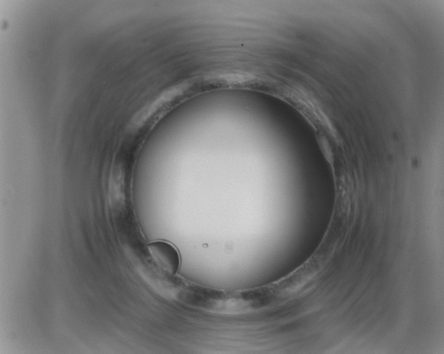 X0000085310212200703231932