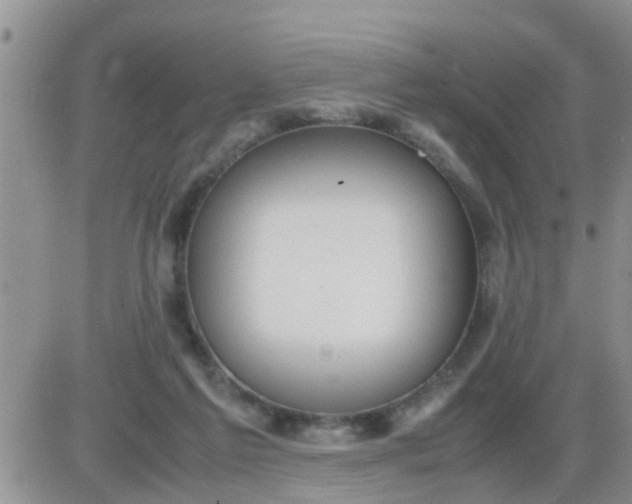 X0000085310213200703231932