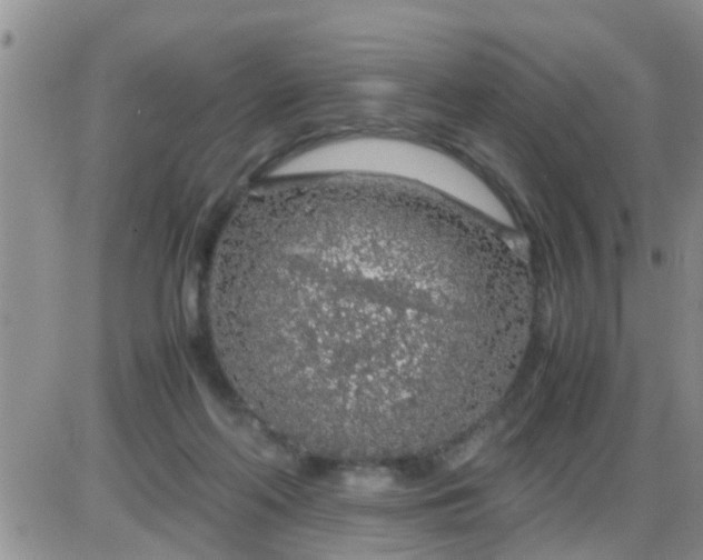 X0000085310214200703231932