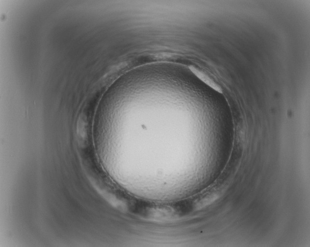 X0000085310215200703231932