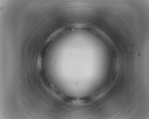 X0000085310216200703231932