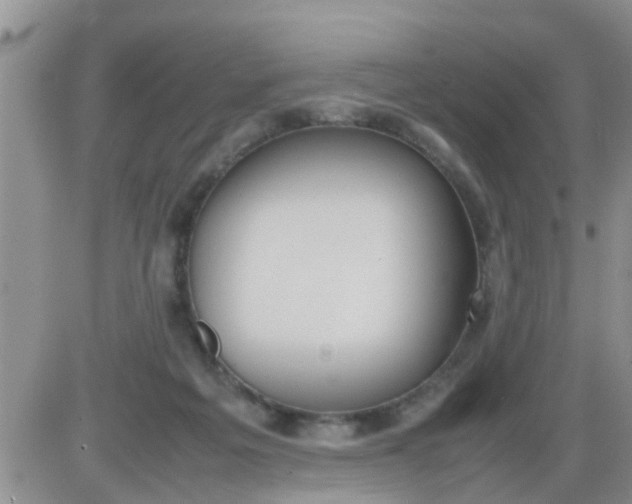 X0000085310217200703231932