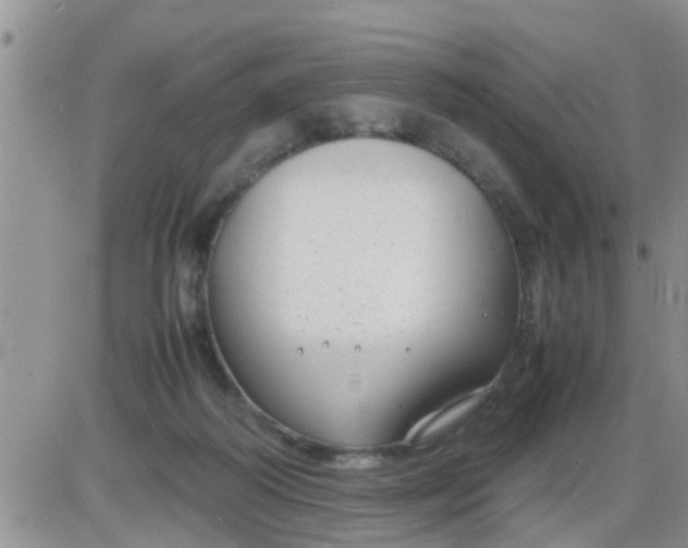 X0000085310218200703231932