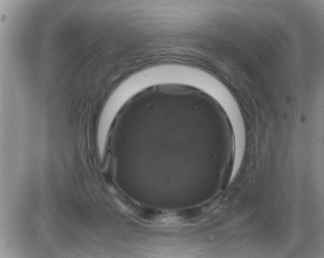 X0000085310219200703231932