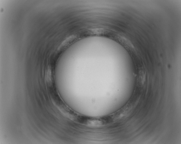 X0000085310220200703231932