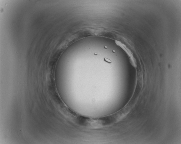 X0000085310221200703231932