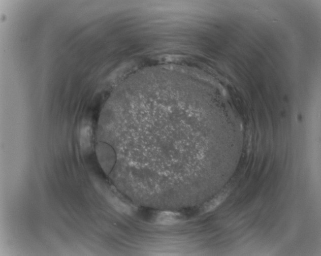 X0000085310222200703231932