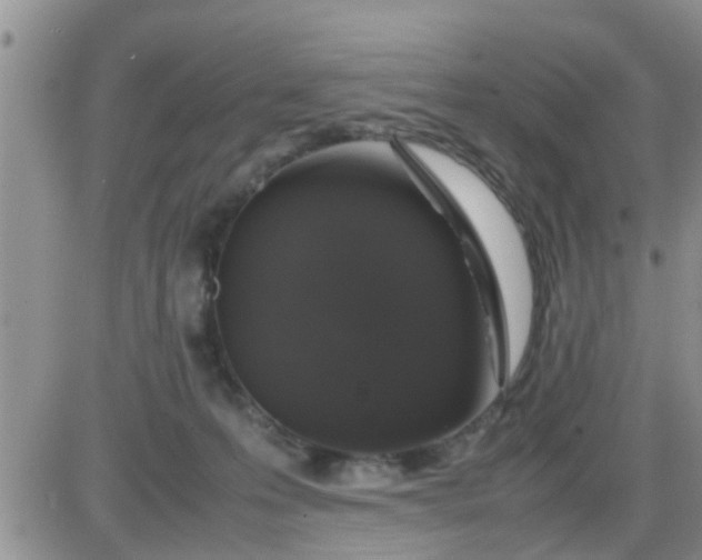 X0000085310223200703231932