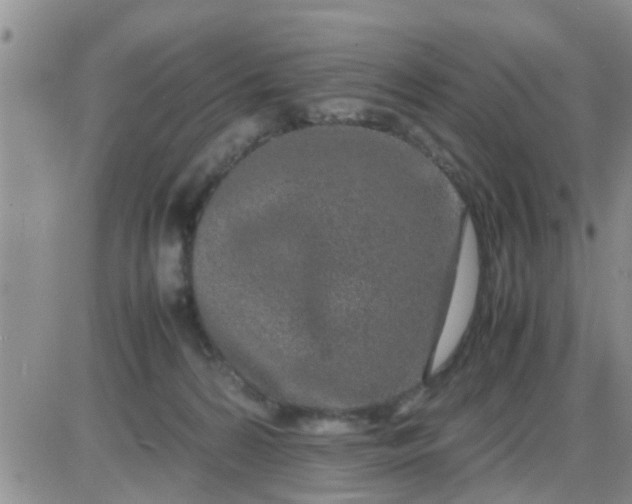 X0000085310224200703231932