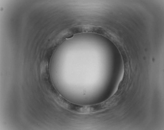 X0000085310225200703231932