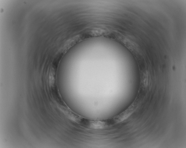 X0000085310226200703231932