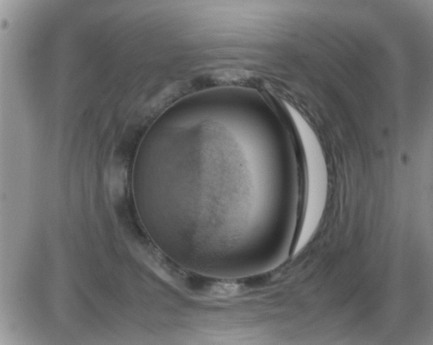 X0000085310227200703231932