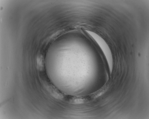 X0000085310228200703231932