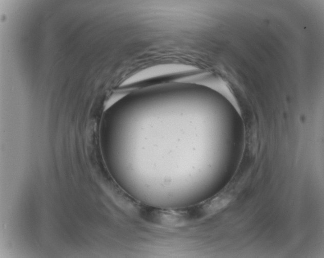 X0000085310229200703231932