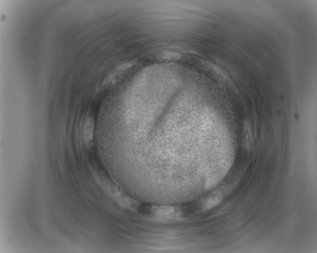 X0000085310230200703231932