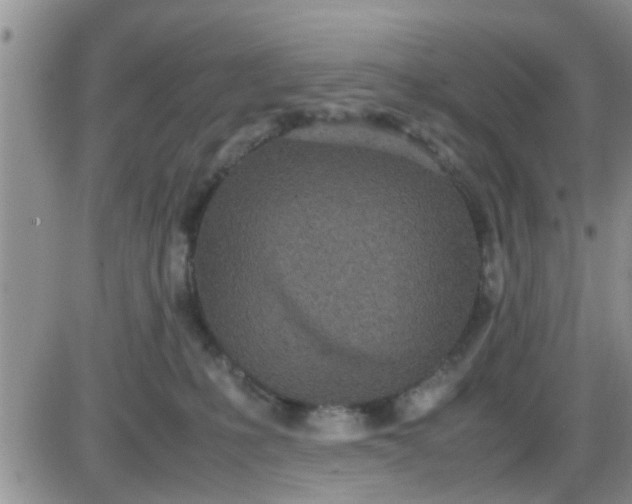 X0000085310231200703231932