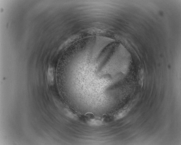 X0000085310232200703231932