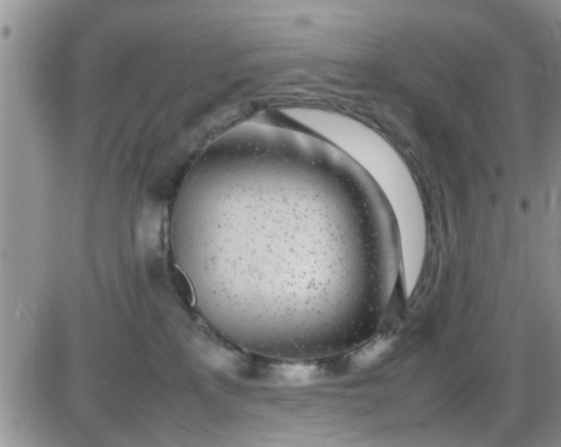 X0000085310233200703231932