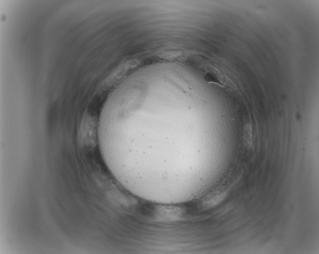 X0000085310234200703231932