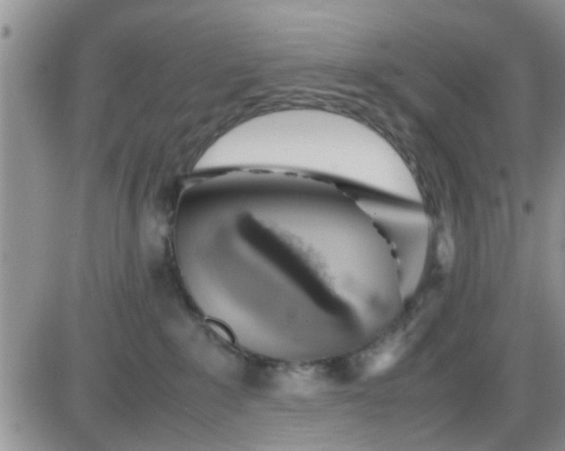 X0000085310235200703231932