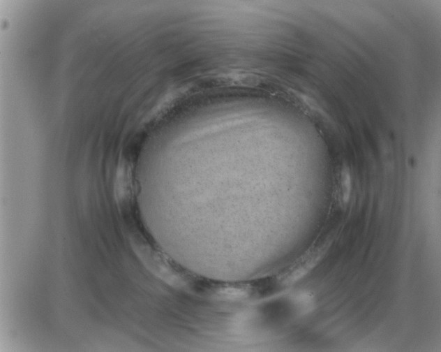 X0000085310236200703231932