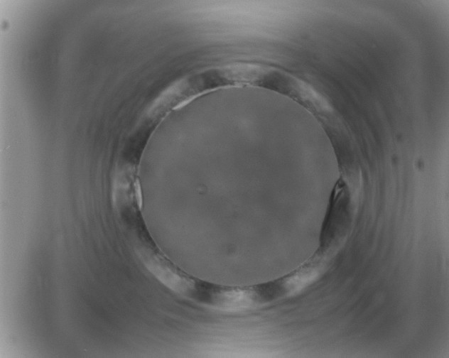 X0000085310237200703231932