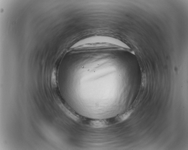 X0000085310238200703231932